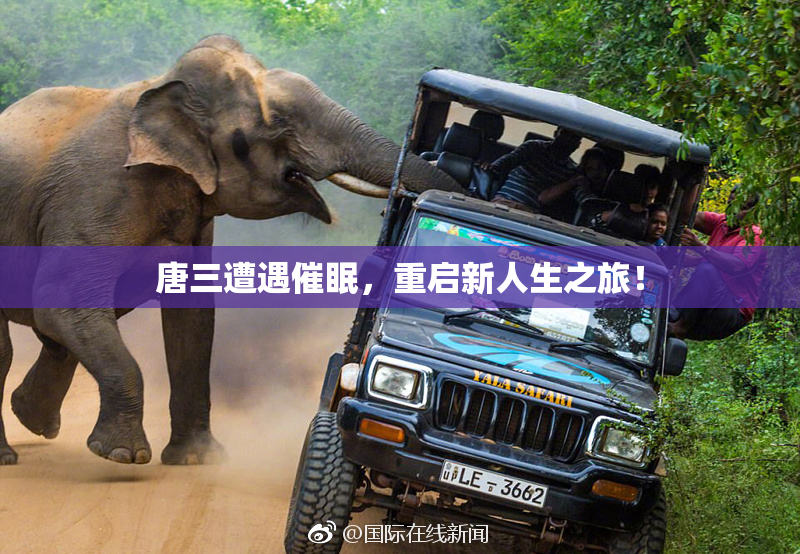 唐三遭遇催眠，重启新人生之旅！