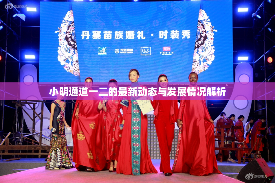小明通道一二的最新动态与发展情况解析