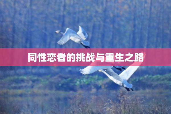 同性恋者的挑战与重生之路