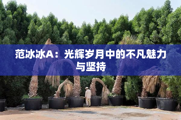 范冰冰A：光辉岁月中的不凡魅力与坚持