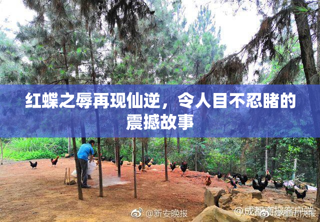 红蝶之辱再现仙逆，令人目不忍睹的震撼故事