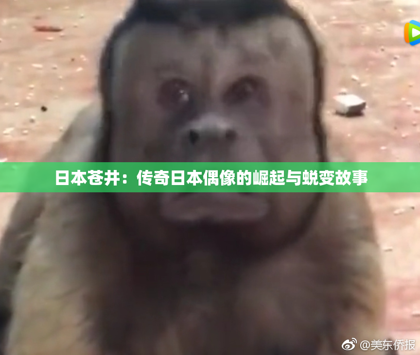 日本苍井：传奇日本偶像的崛起与蜕变故事