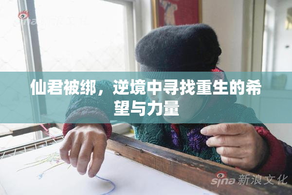 仙君被绑，逆境中寻找重生的希望与力量