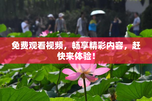 免费观看视频，畅享精彩内容，赶快来体验！