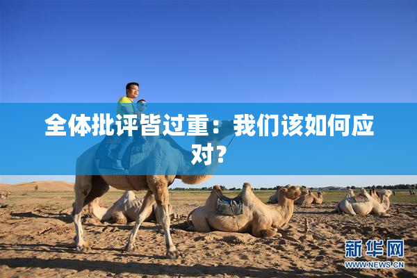 全体批评皆过重：我们该如何应对？