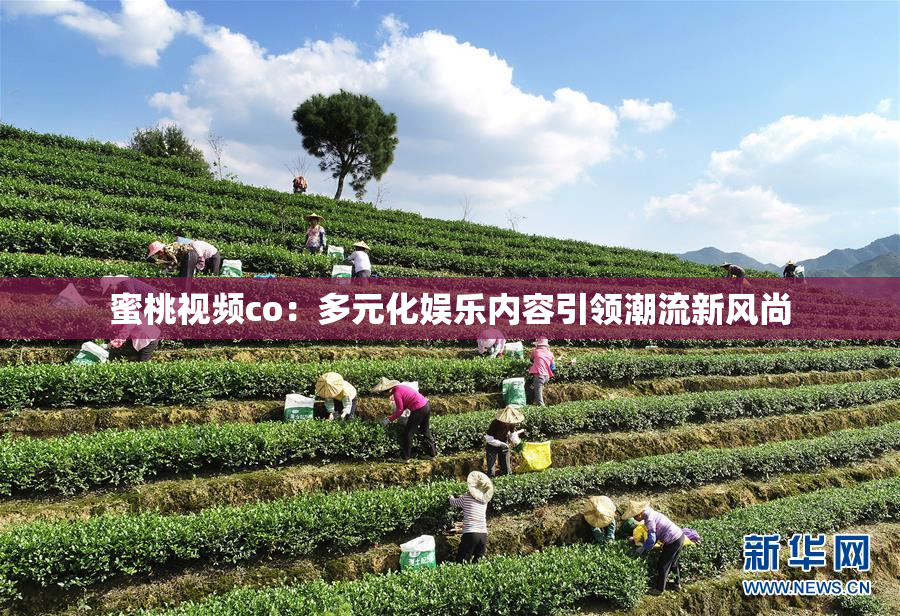 蜜桃视频co：多元化娱乐内容引领潮流新风尚