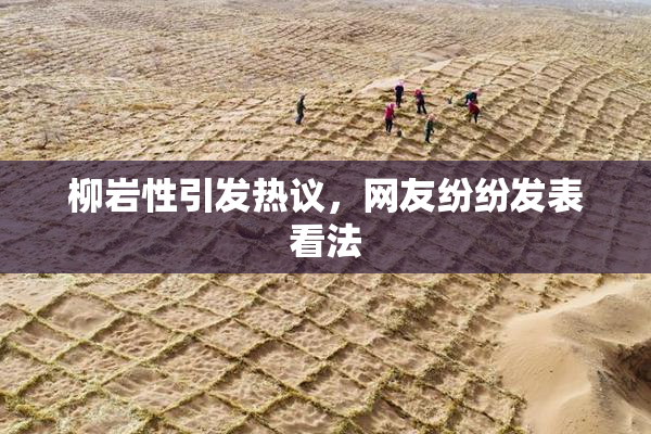 柳岩性引发热议，网友纷纷发表看法