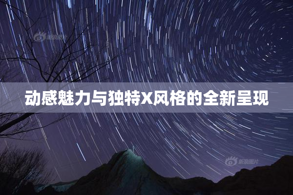 动感魅力与独特X风格的全新呈现