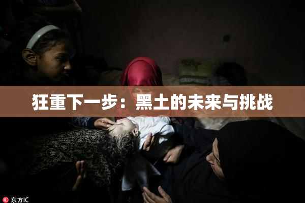 狂重下一步：黑土的未来与挑战