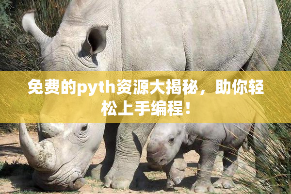 免费的pyth资源大揭秘，助你轻松上手编程！
