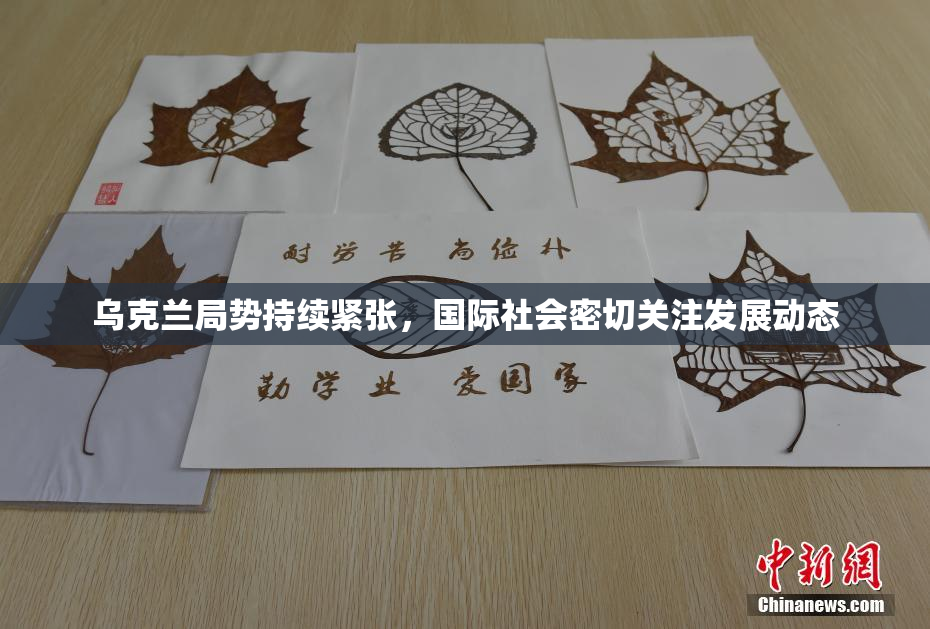 乌克兰局势持续紧张，国际社会密切关注发展动态