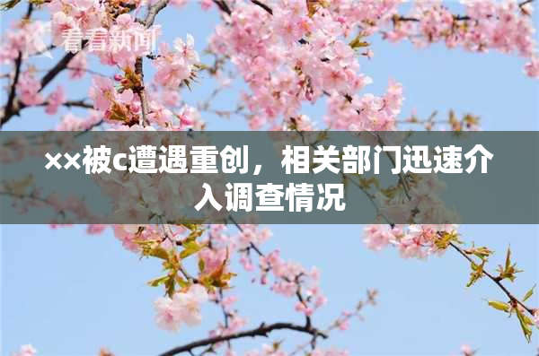 ××被c遭遇重创，相关部门迅速介入调查情况