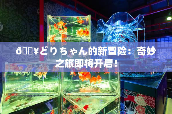 🔥どりちゃん的新冒险：奇妙之旅即将开启！