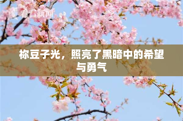 祢豆子光，照亮了黑暗中的希望与勇气