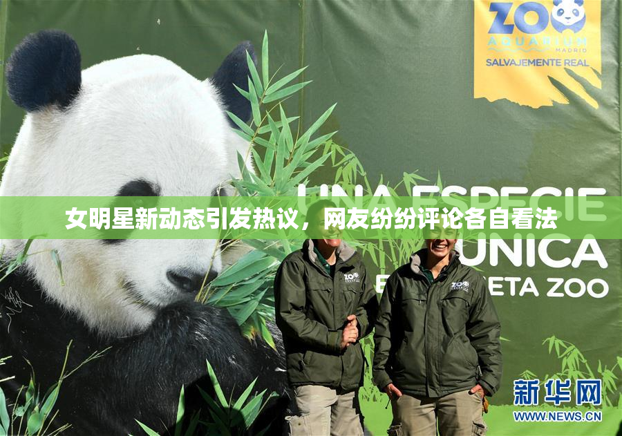 女明星新动态引发热议，网友纷纷评论各自看法