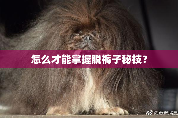 怎么才能掌握脱裤子秘技？