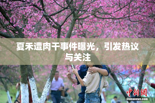 夏禾遭肉干事件曝光，引发热议与关注