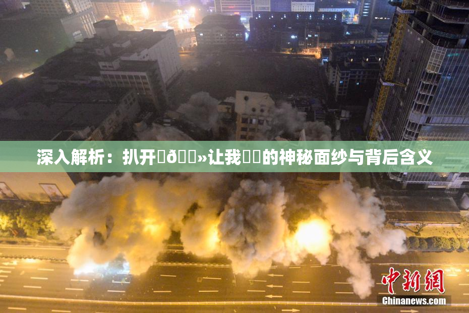深入解析：扒开‌🐻让我❌‌的神秘面纱与背后含义