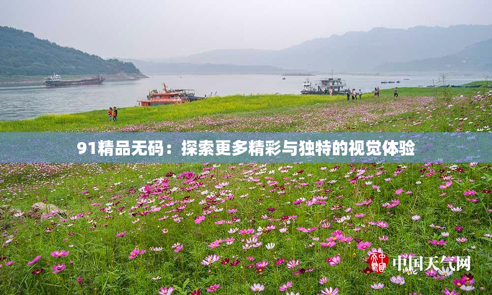 91精品无码：探索更多精彩与独特的视觉体验