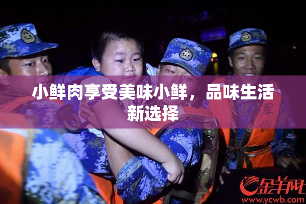 小鲜肉享受美味小鲜，品味生活新选择