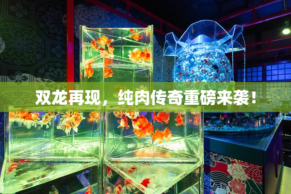 双龙再现，纯肉传奇重磅来袭！