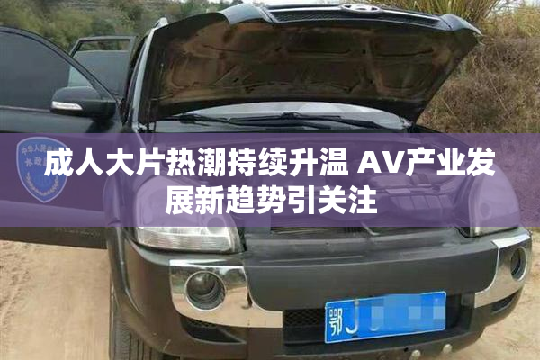 成人大片热潮持续升温 AV产业发展新趋势引关注