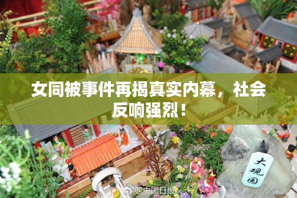 女同被事件再揭真实内幕，社会反响强烈！