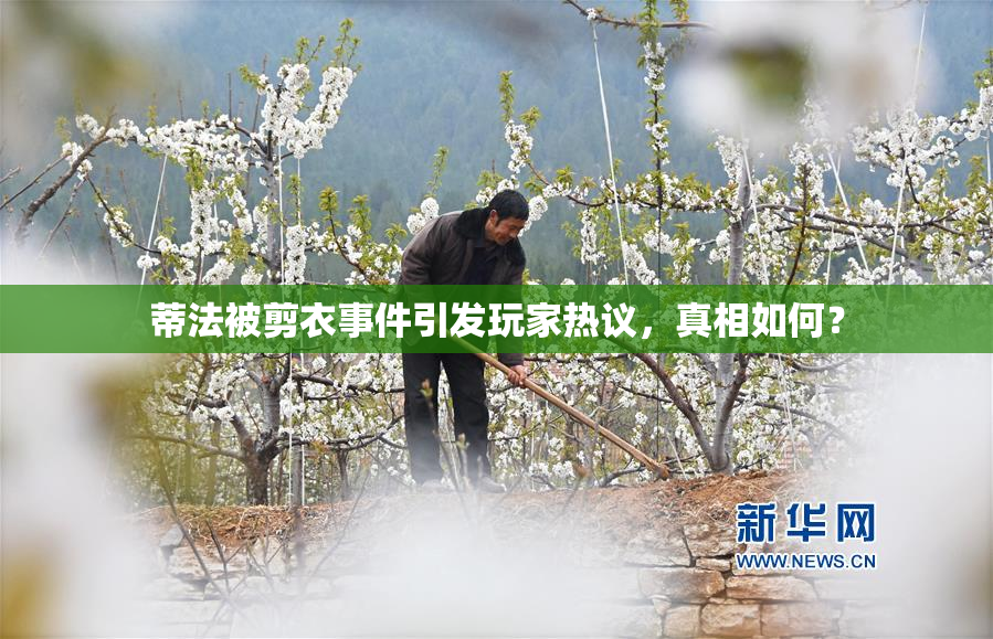 蒂法被剪衣事件引发玩家热议，真相如何？