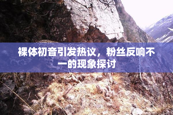 裸体初音引发热议，粉丝反响不一的现象探讨