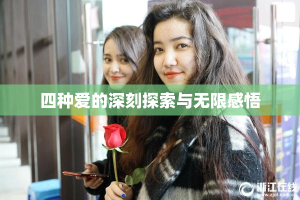 四种爱的深刻探索与无限感悟