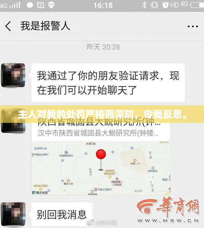 主人对我的处罚严格而深刻，令我反思。