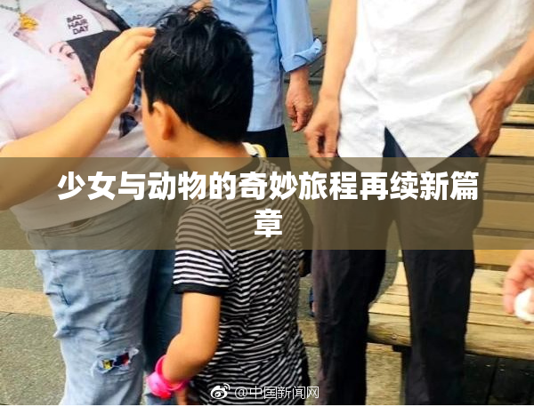 少女与动物的奇妙旅程再续新篇章