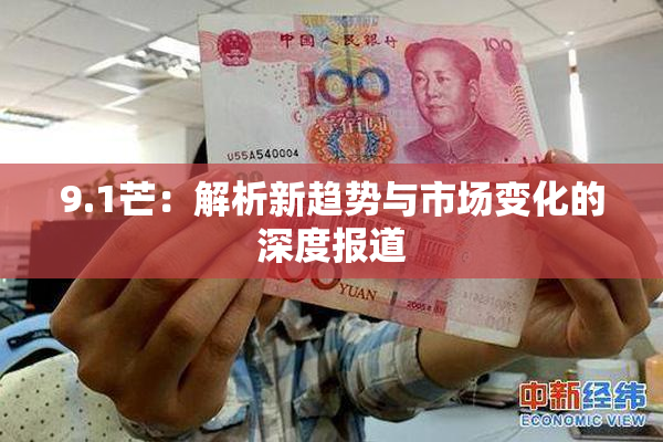 9.1芒：解析新趋势与市场变化的深度报道
