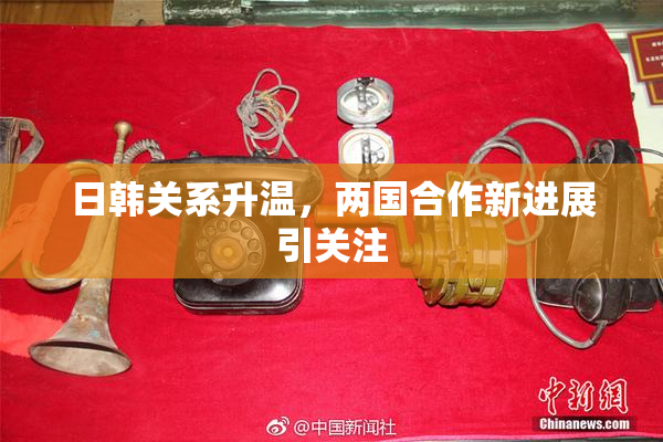 日韩关系升温，两国合作新进展引关注