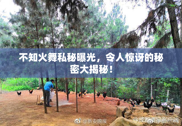 不知火舞私秘曝光，令人惊讶的秘密大揭秘！