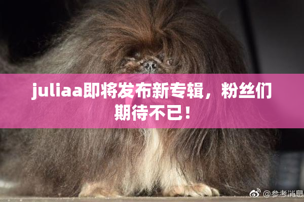juliaa即将发布新专辑，粉丝们期待不已！