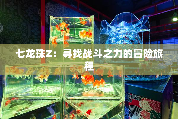 七龙珠Z：寻找战斗之力的冒险旅程