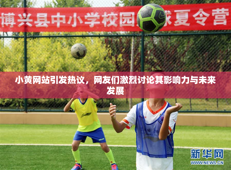 小黄网站引发热议，网友们激烈讨论其影响力与未来发展