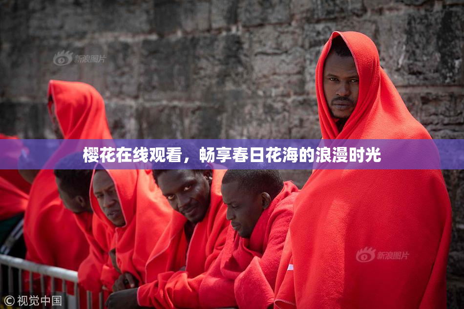 樱花在线观看，畅享春日花海的浪漫时光