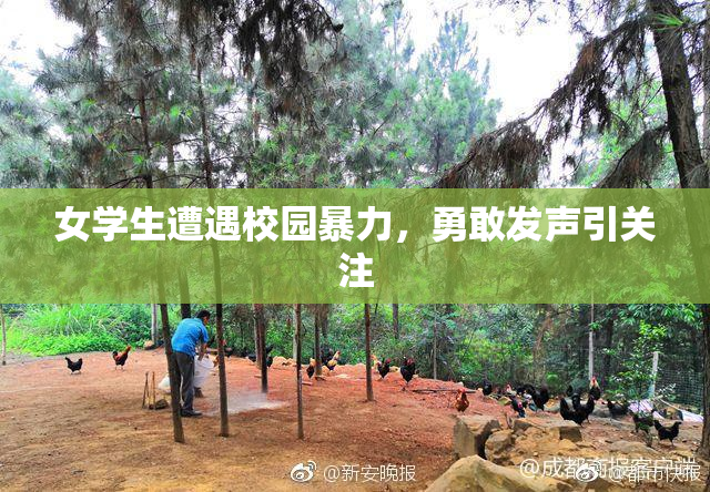 女学生遭遇校园暴力，勇敢发声引关注