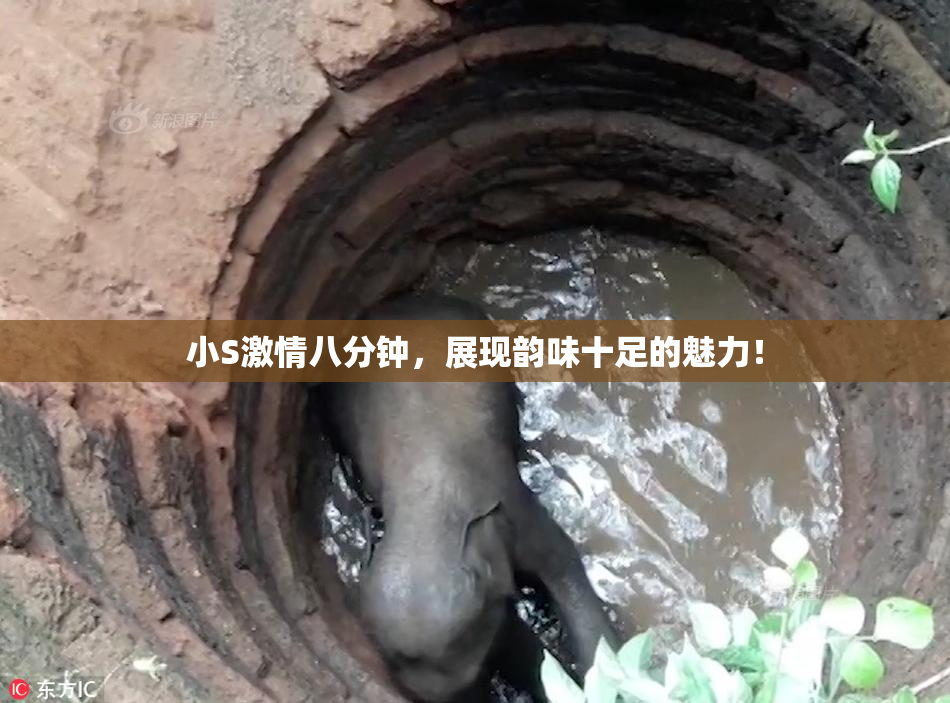小S激情八分钟，展现韵味十足的魅力！