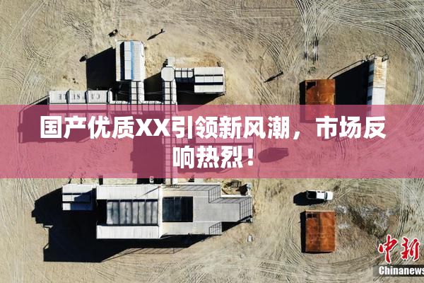国产优质XX引领新风潮，市场反响热烈！