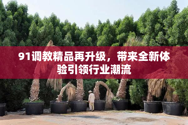 91调教精品再升级，带来全新体验引领行业潮流
