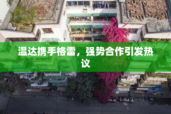温达携手格雷，强势合作引发热议