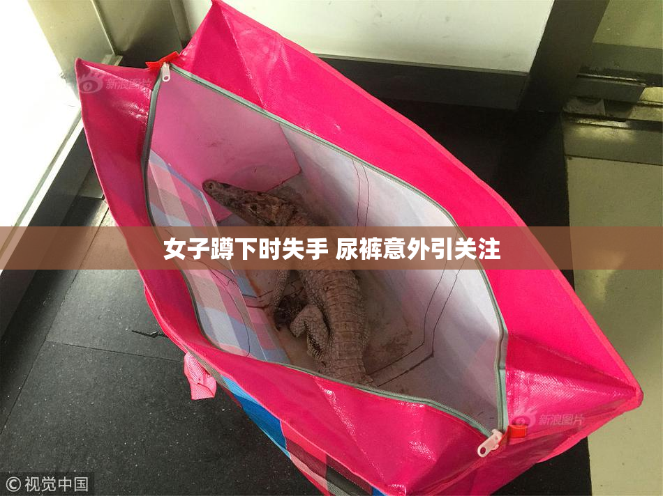 女子蹲下时失手 尿裤意外引关注