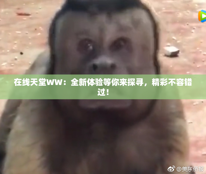 在线天堂WW：全新体验等你来探寻，精彩不容错过！