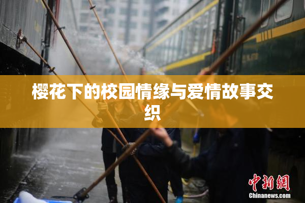 樱花下的校园情缘与爱情故事交织