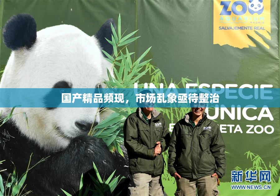 国产精品频现，市场乱象亟待整治