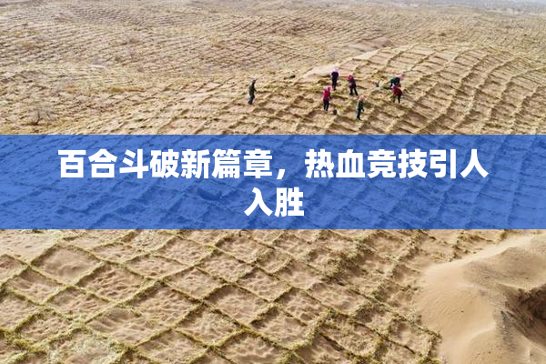 百合斗破新篇章，热血竞技引人入胜