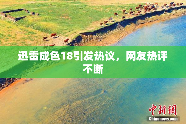 迅雷成色18引发热议，网友热评不断